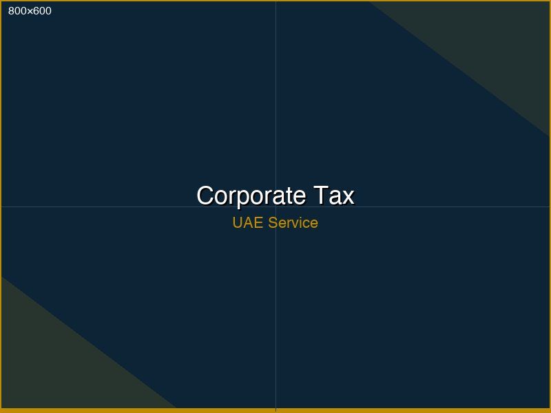 Accountant working on UAE corporate tax financial statements